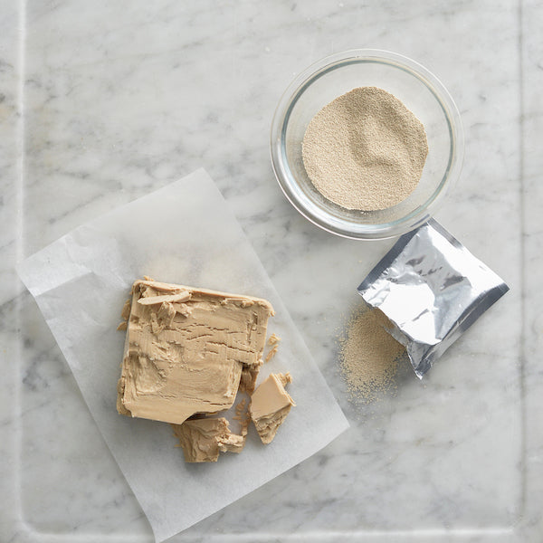 Instant Dried Yeast vs Fresh Yeast baking tips Instant Dried Yeast vs Fresh Yeast baking tips